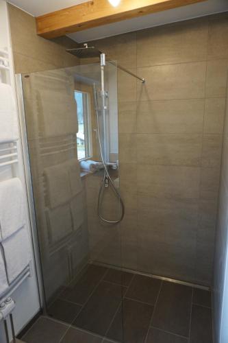 a shower with a glass door in a bathroom at Appartementhaus Hüttenberger in Erpfendorf