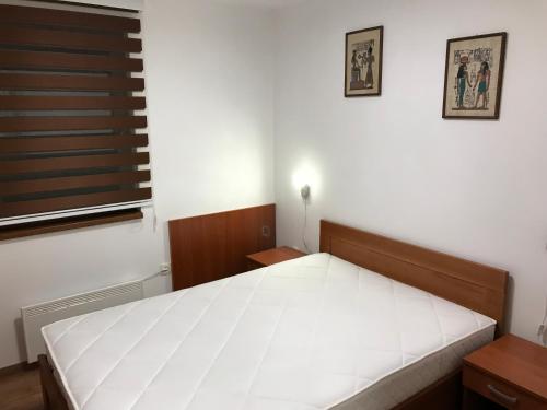 コパオニクにあるApartman B3 u vili Suriの白いベッドと窓のある寝室