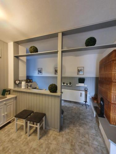 a kitchen with a counter with plants on the wall at Ilike Home in Balatonfüred