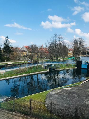 a view of a river with trees and a bridge at Apartament Marina Mazury in Węgorzewo