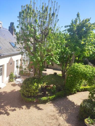 a garden with a tree and bushes in front of a house at Les Charmilles in Amboise