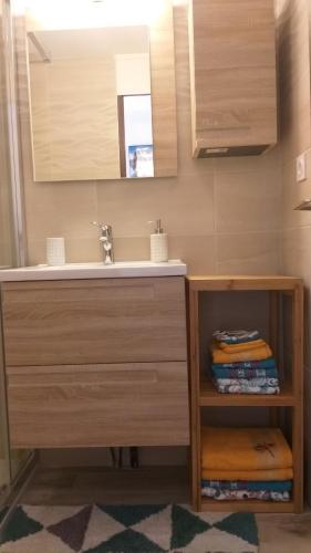 un baño con lavabo y espejo en studio plein sud vue Mont Blanc CHAMONIX, en Chamonix-Mont-Blanc