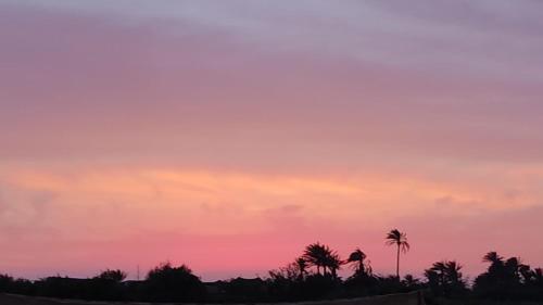 a sunset with palm trees in the foreground at Beit Haner Moshav Dor in Dor