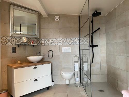 La salle de bains est pourvue de toilettes et d'une douche en verre. dans l'établissement Petite maison à l'orée des bois vue magnifique sur le lac zenitude et plénitude, à Belmont-sur-Lausanne