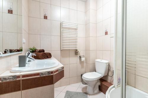 a bathroom with a toilet and a sink and a shower at Zakopane - Apartament Chomikówka in Zakopane