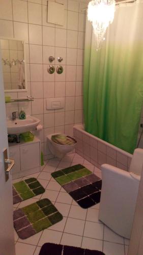 a bathroom with a green shower curtain and a toilet at Wohnung "Stern" in Chemnitz