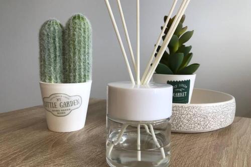 Photo de la galerie de l'établissement LE CEZANNE - Centre ville, Balcon, Garage, à Annecy