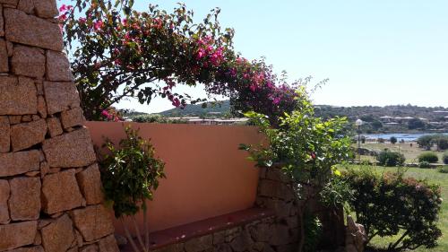 a garden with pink flowers on a wall at Residenze Coda Cavallo in San Teodoro
