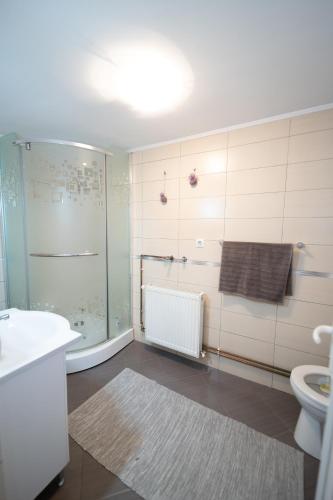 a bathroom with a shower and a toilet and a sink at La Bunu Nic in Porumbacu de Sus