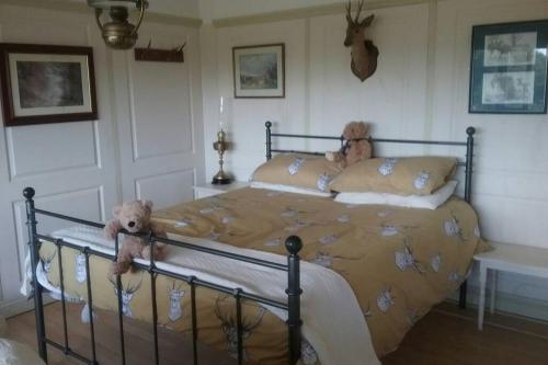 dos ositos de peluche sentados en una cama en un dormitorio en Stags View,Unique eco cabin, Dartmoor views en South Brent