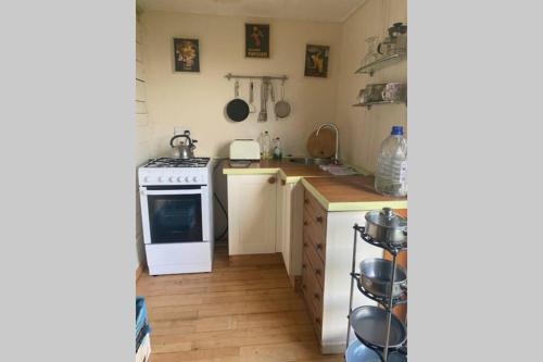 a kitchen with a white stove and a sink at Stags View,Unique eco cabin, Dartmoor views in South Brent