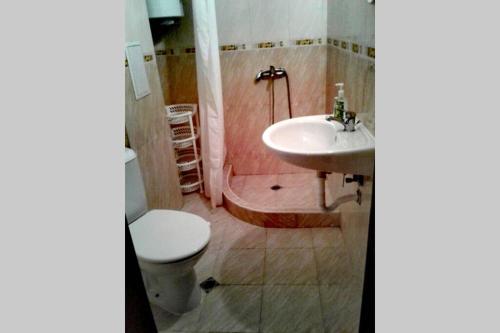 a bathroom with a toilet and a sink and a shower at Приятный отдых в студии на море в Сарафово in Burgas