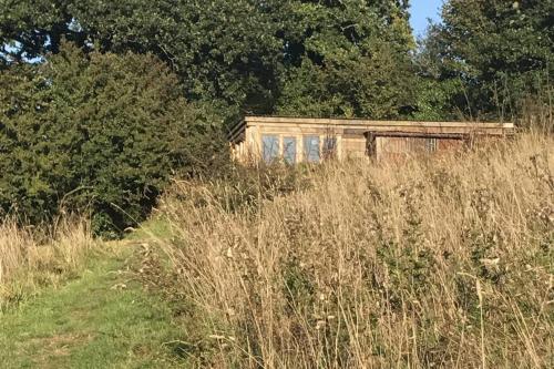 Κήπος έξω από το FoxesDen, Unique Eco Cabin, Dartmoor views