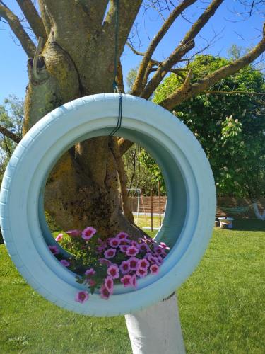 a circular mirror with flowers in a tree at Zisis Garden Studios in Ioannina