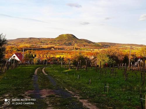 Kisapáti的住宿－Ágnes almái Ágnes apples，山地中的土路