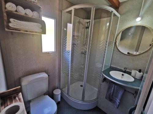 a bathroom with a shower and a toilet and a sink at Bungalow As Nevedas in Carballo