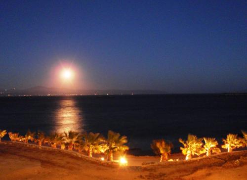 a full moon over the ocean with palm trees on a beach at Paros Blue Dolphin FULLY RENOVATED by RIVEA GROUP in Chrissi Akti