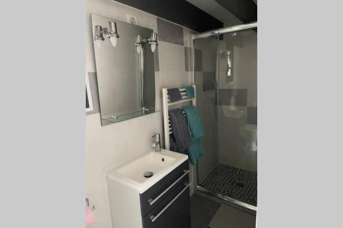 La salle de bains est pourvue d'un lavabo blanc et d'une douche. dans l'établissement Joli studio avec jacuzzi et terrasse privée, à Junas