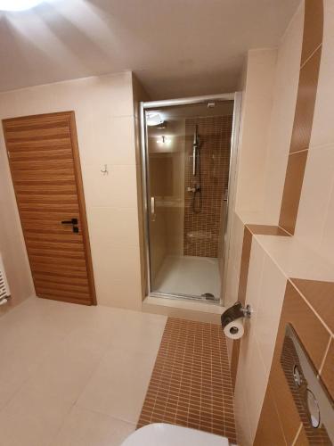 a bathroom with a shower and a toilet and a door at Apartman Moderna Donovaly in Donovaly