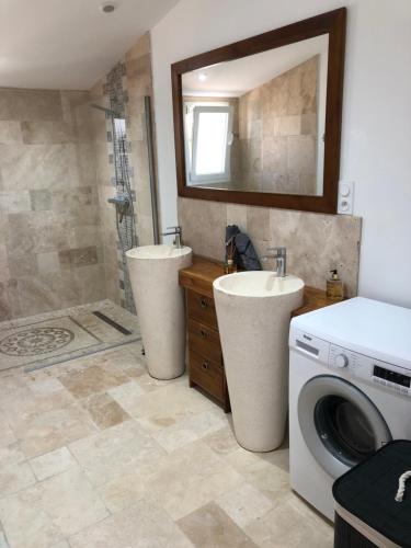 a bathroom with a shower and a sink and a washing machine at Le Cottage de Romas in Villeneuve-sur-Lot