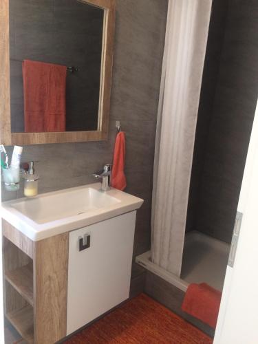 W łazience znajduje się umywalka i prysznic. w obiekcie 2 Zimmer Appartement w mieście Winterthur