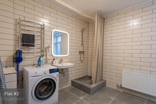 a bathroom with a washing machine and a sink at Dandelion Apartments XIXc Cottage in Rīga