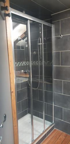 La salle de bains est pourvue d'une douche avec une porte en verre. dans l'établissement Studio saint martin vesubie, à Saint-Martin-Vésubie