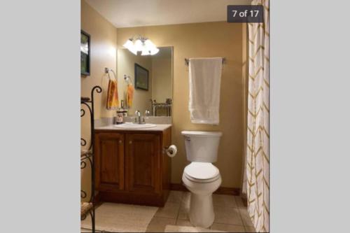 La salle de bains est pourvue de toilettes et d'un lavabo. dans l'établissement 'The Treehouse' at Snowshoe - Village & Slope View, à Snowshoe