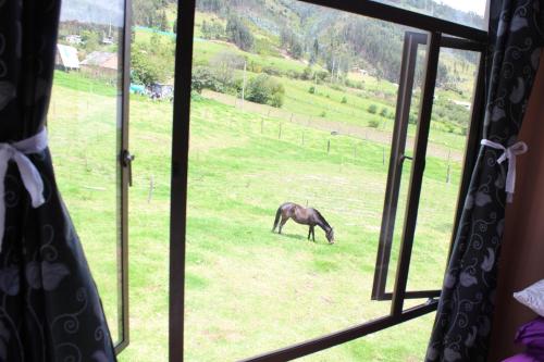Gallery image of Hotel Campestre Villa Los Duraznos in Paipa