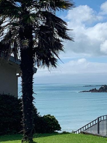 a palm tree in a field with the ocean at Oneroa Bay Villa Waiheke in Oneroa