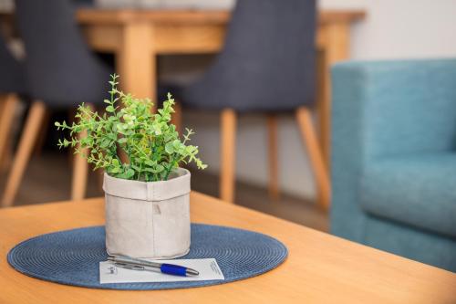 
a green plant sitting on top of a wooden table at Jurien Bay Motel Apartments in Jurien Bay
