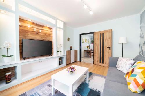 een woonkamer met een bank en een flatscreen-tv bij comfort 66 in Miskolc