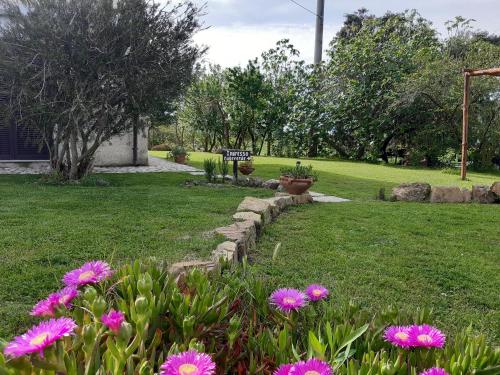 a garden with pink flowers in the grass at Agriturismo Colleverde Capalbio in Capalbio
