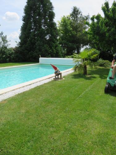 un chien assis sur un banc à côté d'une piscine dans l'établissement Chez Pierre et Caroline, aux Herbiers