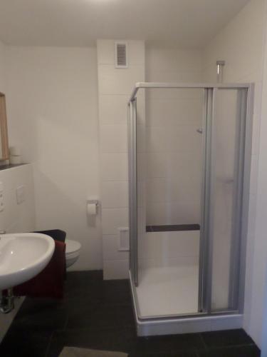 a bathroom with a shower and a sink at Apartment Zentrum in Bad Zwischenahn