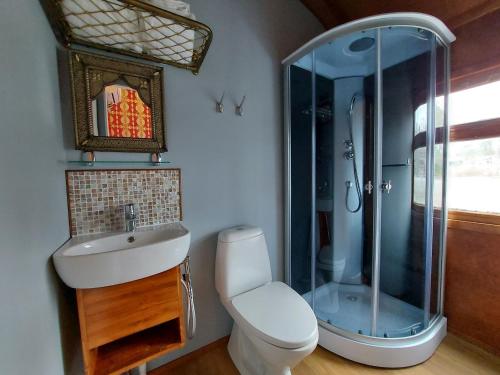 a bathroom with a shower and a sink and a toilet at Junamajoitus Tuuri Train Station in Tuuri