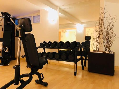 a room with a gym with a dumbbell rack at Pizzomunno Vieste Palace Hotel in Vieste