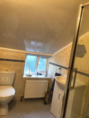 a small bathroom with a toilet and a sink at Mena Cottage, Cosy Country and Quaint. in Hunmanby