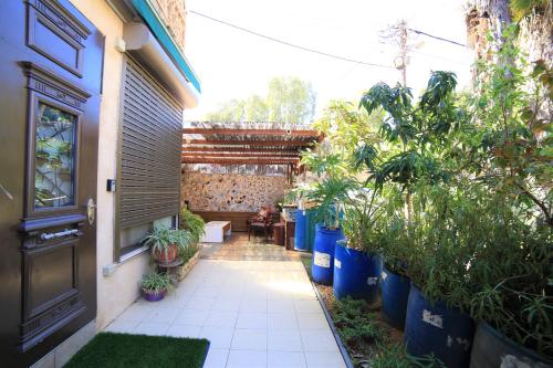 a courtyard with potted plants and a door at Ahuzat Shaul - Apartment in H̱adera