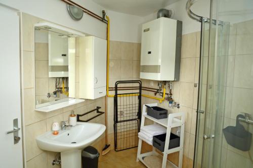 a bathroom with a sink and a shower at House Minka in Ptuj
