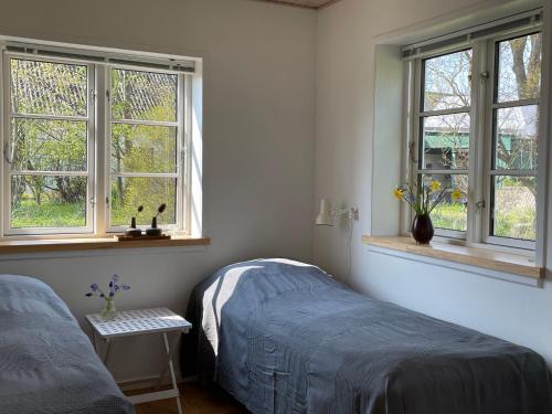 a bedroom with two beds and two windows at Strynø Living in Rudkøbing