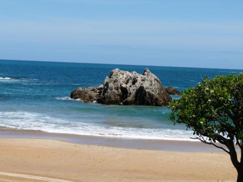 a tree on a beach with a rock in the ocean at Apartamentos Maradentro in Soto de la Marina