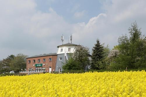ein Gebäude mit einem Feld gelber Blumen vor einem Gebäude in der Unterkunft Landgasthof Waabs Mühle in Waabs