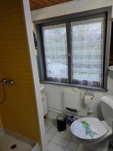 - une petite salle de bains avec toilettes et 2 fenêtres dans l'établissement Le chalet de Rothenbuhl, à Dabo
