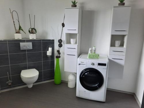 a bathroom with a washing machine and a toilet at Ela Apartment Vilová in Skalná