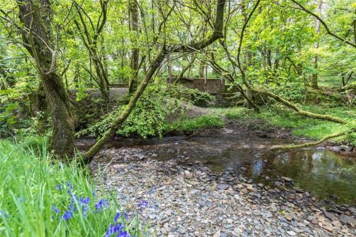 a stream in a forest with trees and flowers at Pembrokeshire Yurts - Badger in Llanfyrnach