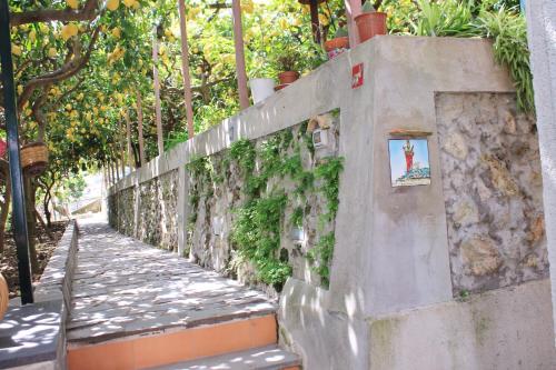 a stone wall with ivy on it next to a sidewalk at Villa Anna in Minori