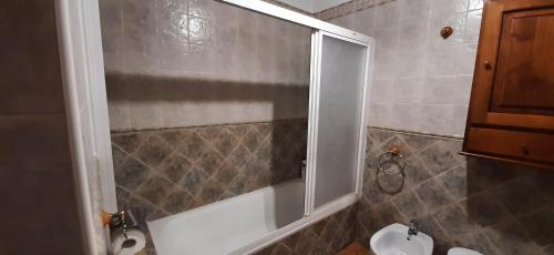 a bathroom with a shower with a sink and a toilet at La Posá in Acehuche