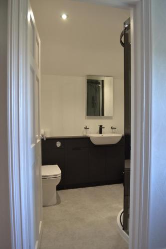 a bathroom with a sink and a toilet and a mirror at Coed-y-Fron in Betws-y-coed