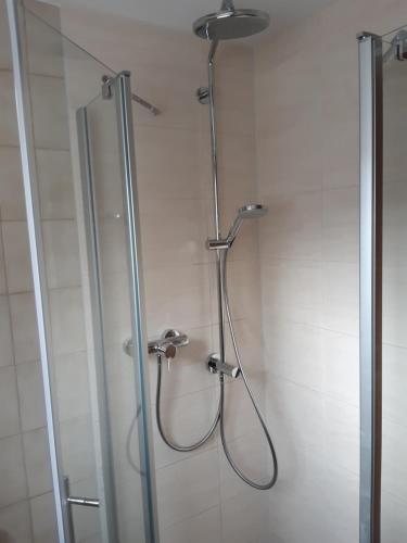 a shower with a glass door in a bathroom at Ferienwohnung Jarenatanne in Stockach